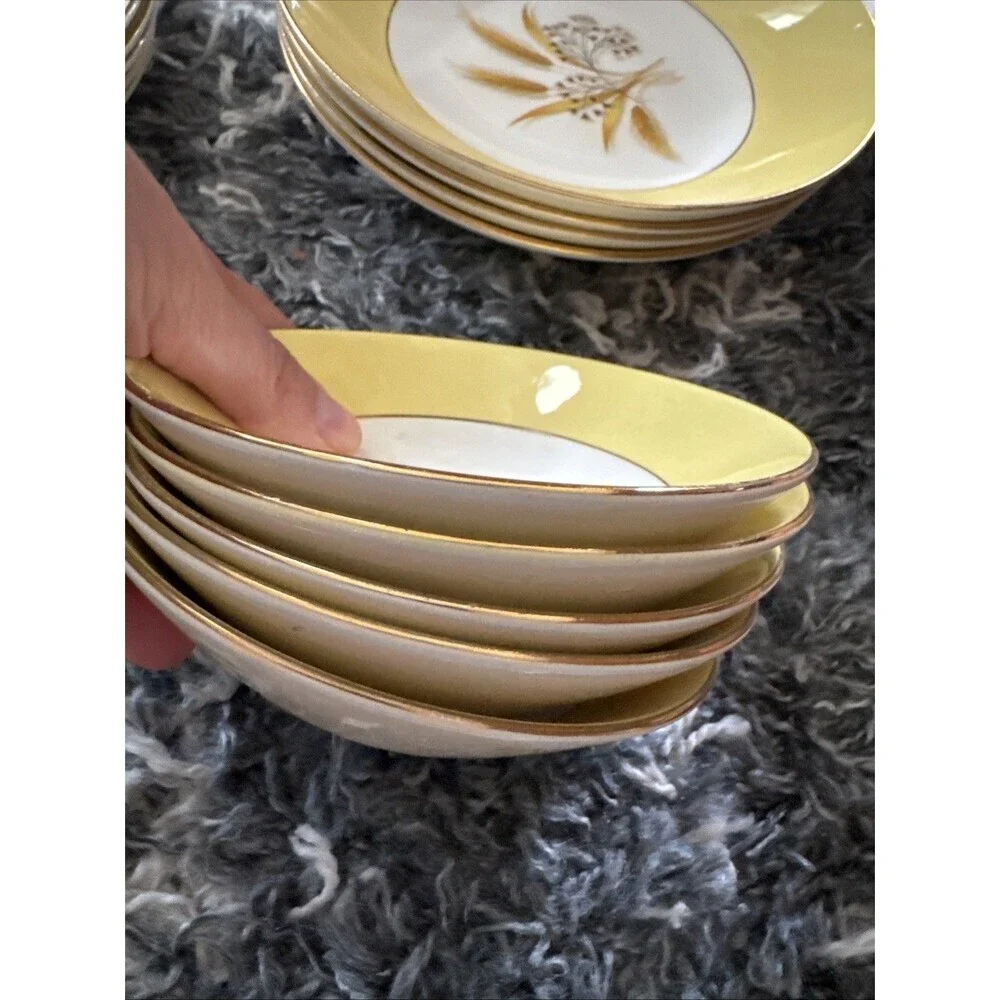 20 Piece Century Service Corp Autumn Gold Dinner Plate Plates and Bowls